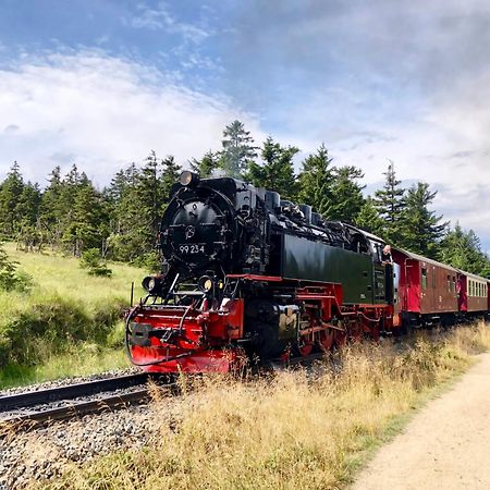 Fewo Ruebezahl Mit Kamin #Innenstadtnaehe#Netflix Von Harztraveler 바트하르추부르크 외부 사진