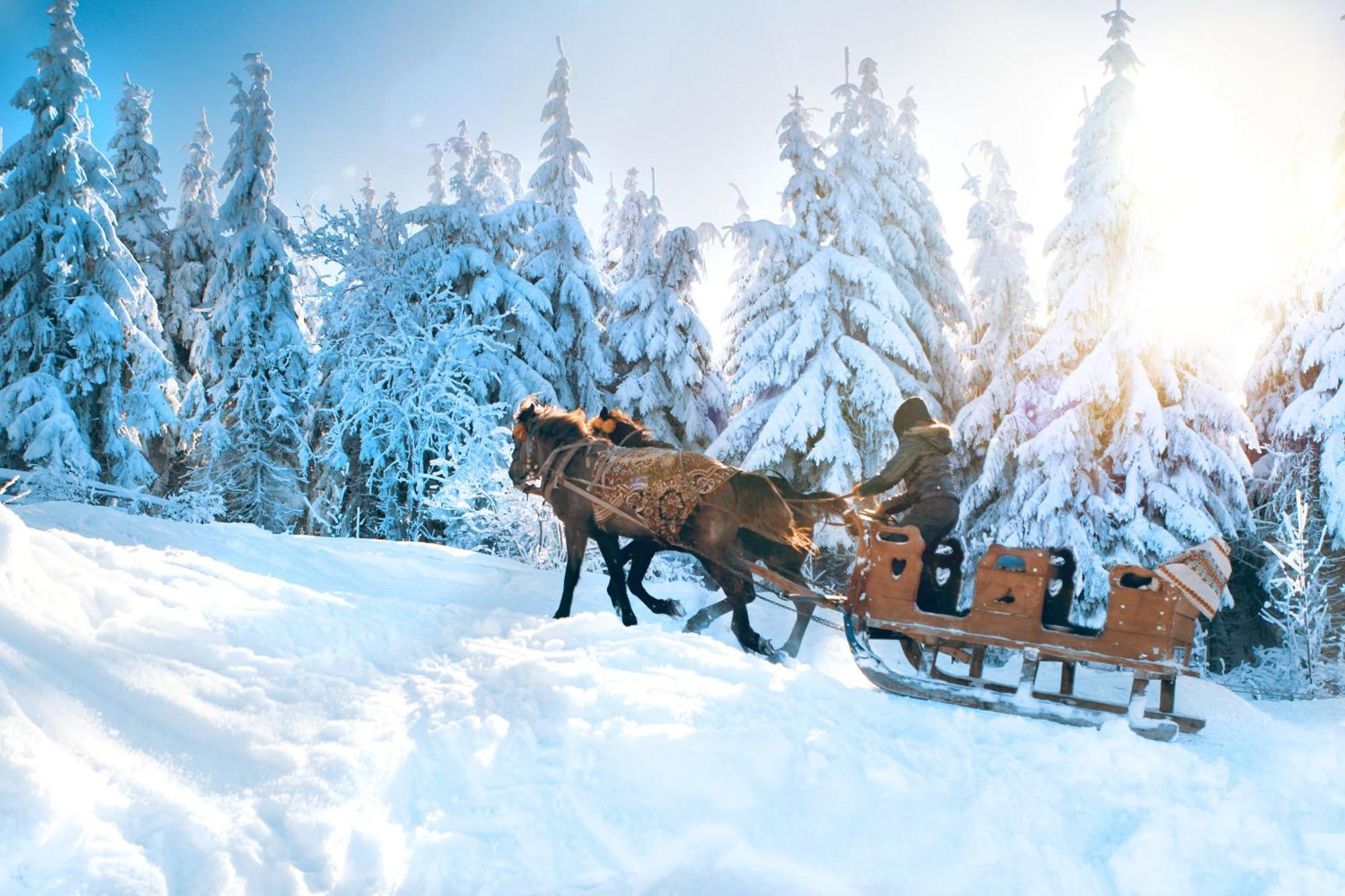 Fewo Ruebezahl Mit Kamin #Innenstadtnaehe#Netflix Von Harztraveler 바트하르추부르크 외부 사진